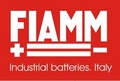 Аккумуляторные батареи FIAMM (45)
